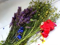 En Ljuvligt Doftande Bukett med Lavendel, Lin, Vallmo och blåklint!