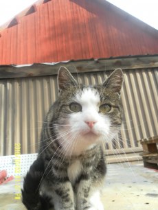 Chester