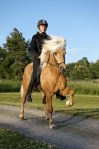 Foto: Gunnar Eld