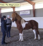 Foto: Pia Magnusson