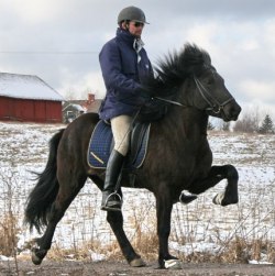 Foto: Ia Lindholm