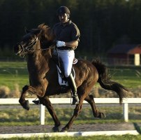 Thyrla och Johan (2)