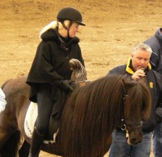 Mökkur frá Varmalaek fick utmärkelsen Hederspremie vid hingstfestvalen 2010, foto Christina Rohdin-Alm.