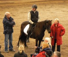 Von frá Vindheimum fick utmärkelsen Hederspremie vid hingstfestvalen 2010, foto Christina Rohdin-Alm.