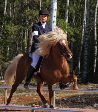 Foto: Emma Jansson
