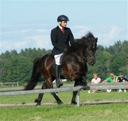 Foto: Terese Gudmundsson