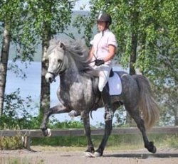 Foto: Caroline Dahlén