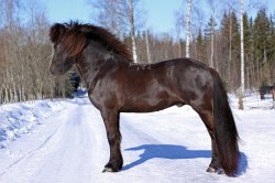 Foto: Emma Jansson
