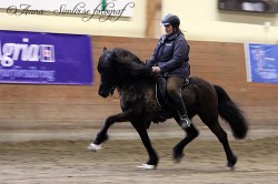 Foto: Anna Helgesson