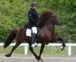 Foto: Ingela Bjurenborg