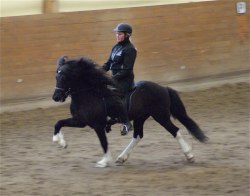 Foto: Petra Jägmo