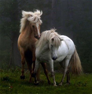 Foto: Ulrika Forsstedt