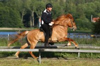 Frisk från Knubbo, foto www.mettesfoton.com