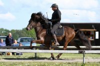 Dreki från Lind, foto www.mettesfoton.com