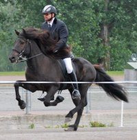 Divar från Lindnäs och Denni Hauksson, foto Susanne Wiklund.
