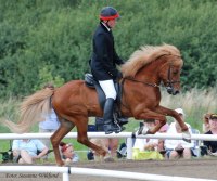 Foto: Susanne Wiklund