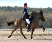 Foto: Ingela Bjurenborg