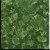 Baltic-Green