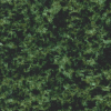 China Green