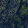 Kerala Green
