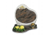 BG016
