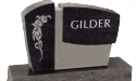 BG009