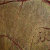 Forest Brown (Indien)