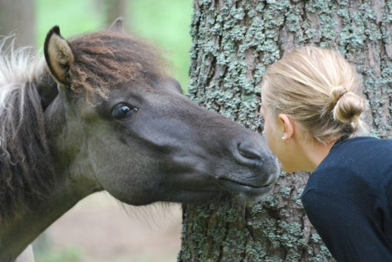 Foto: Annelie Wallvingskog