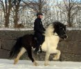 madde_750_hyreygur 1