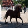 235_engilfrid