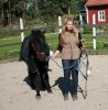 279_glad_hästskötare