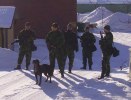 Hundgruppen i Deltat