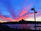 IMG_0492