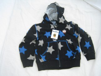 Alfons Hoodie