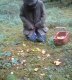kantareller