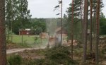 Nu reser granarna mot ett nytt liv! Klicka på bilden för att se den i större format.