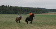 wilma o britta över gärdet