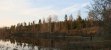 Vy överviken
