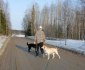 hundpromeand