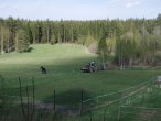 Hagarna närmast stallet