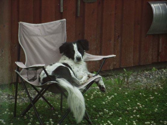 Husse sågar tomtar... Jag vilar mig en stund.