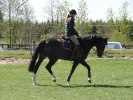 DSC00170