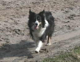 Kanel, foto: Inger von Eckardt