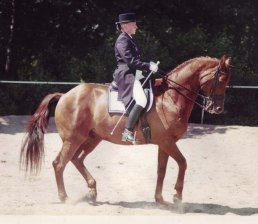 Mannerheim Foto Robert Nagy