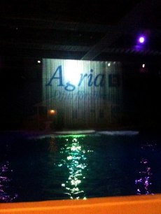 Agrias logga på vattenfallet i Delfinariet.