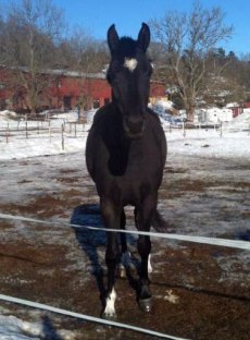 Esther i solen.