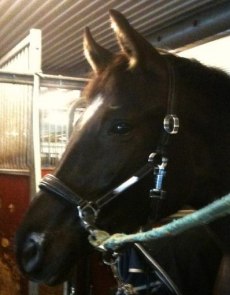 Prinsessan Esther