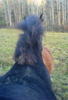 Esther 1 år