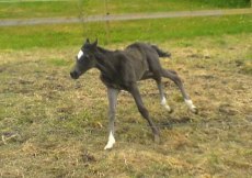 Esther 2 dagar gammal
