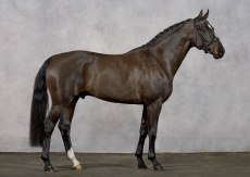 Eskil